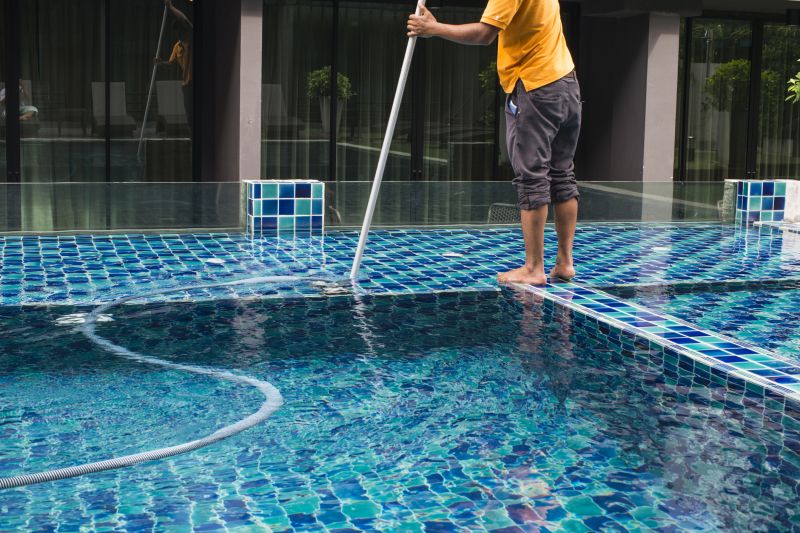 Swimming Pool Cleaners